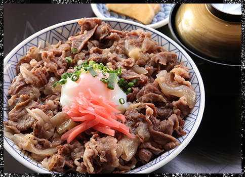 飛騨肉丼