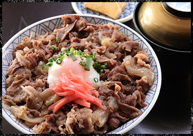 飛騨肉丼